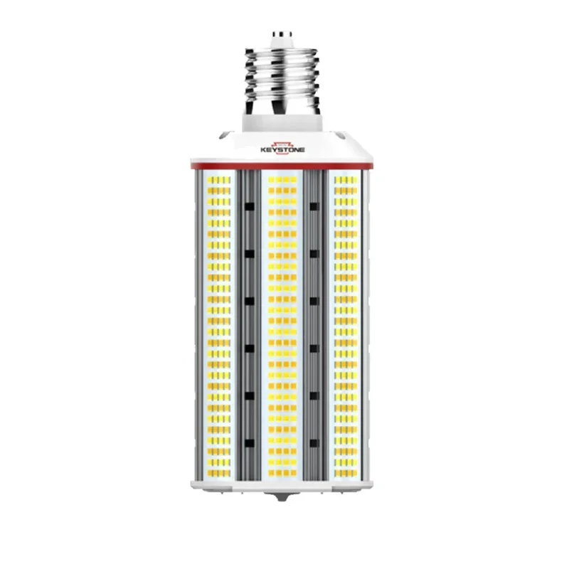 beeslighting12452450