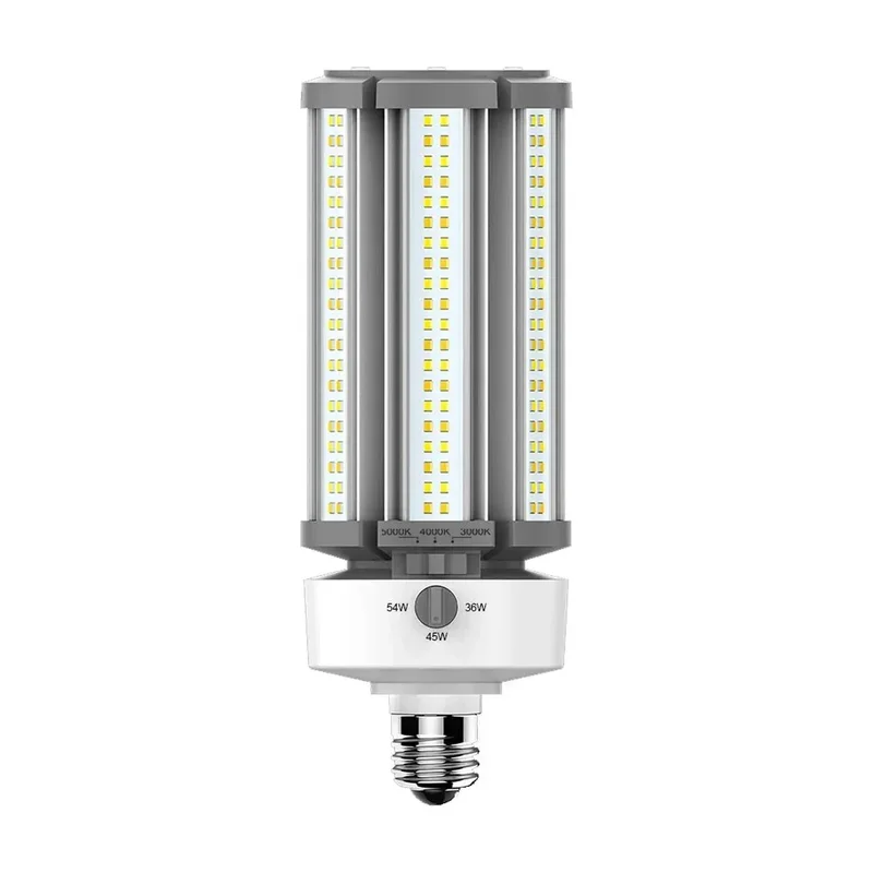 beeslighting12452473