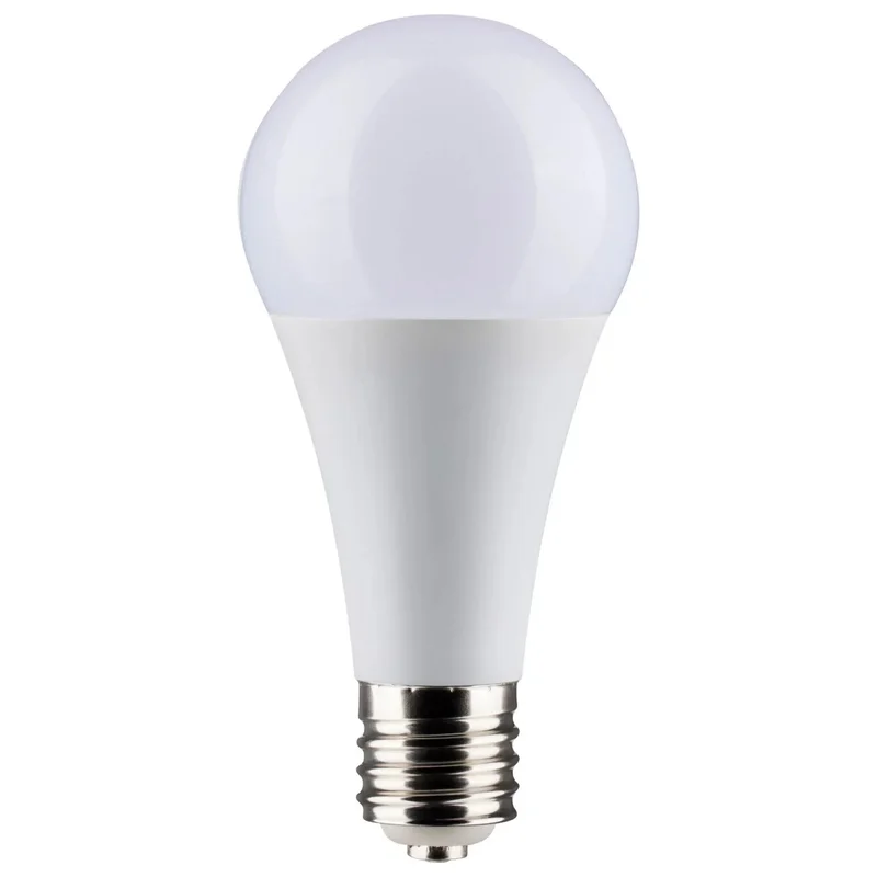 beeslighting12452906