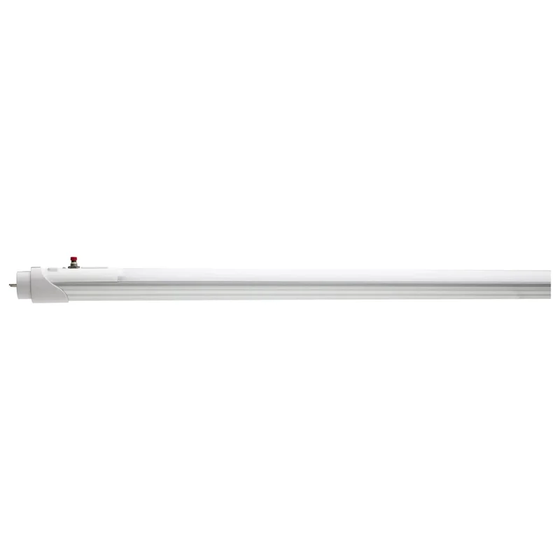beeslighting12452912