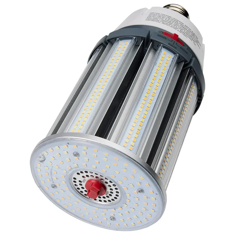 beeslighting12453357