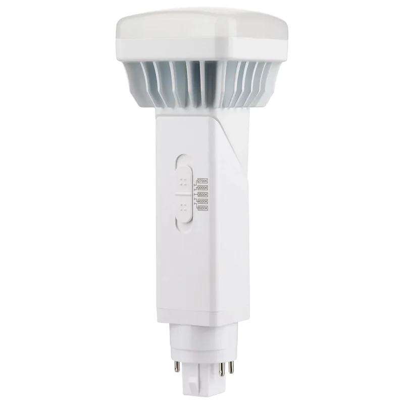beeslighting12453379