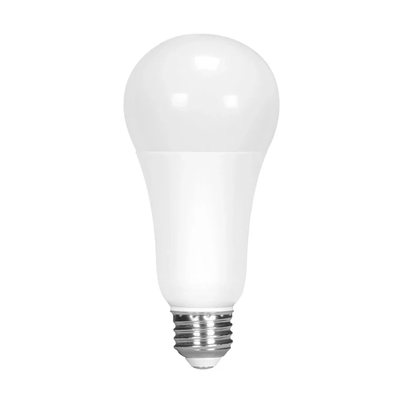 beeslighting12453635