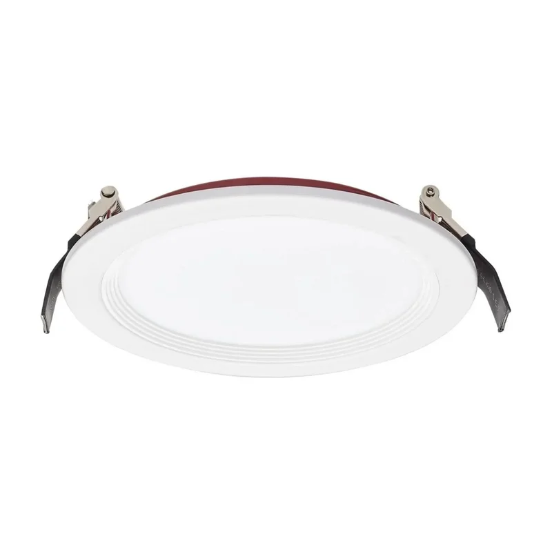 beeslighting12454850