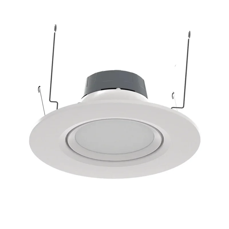 beeslighting12454918
