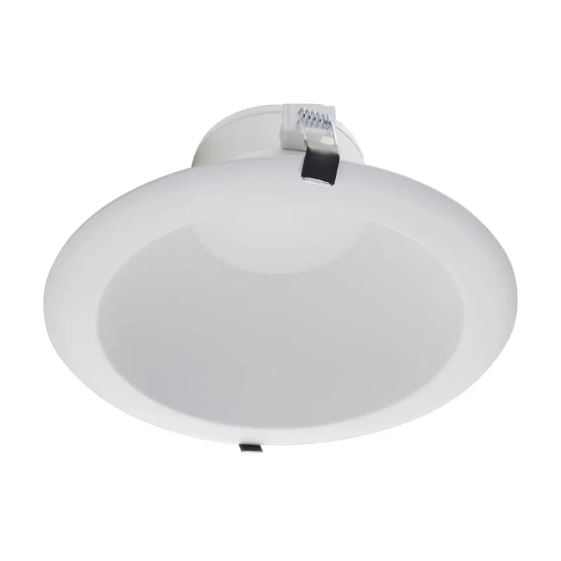 beeslighting12455170