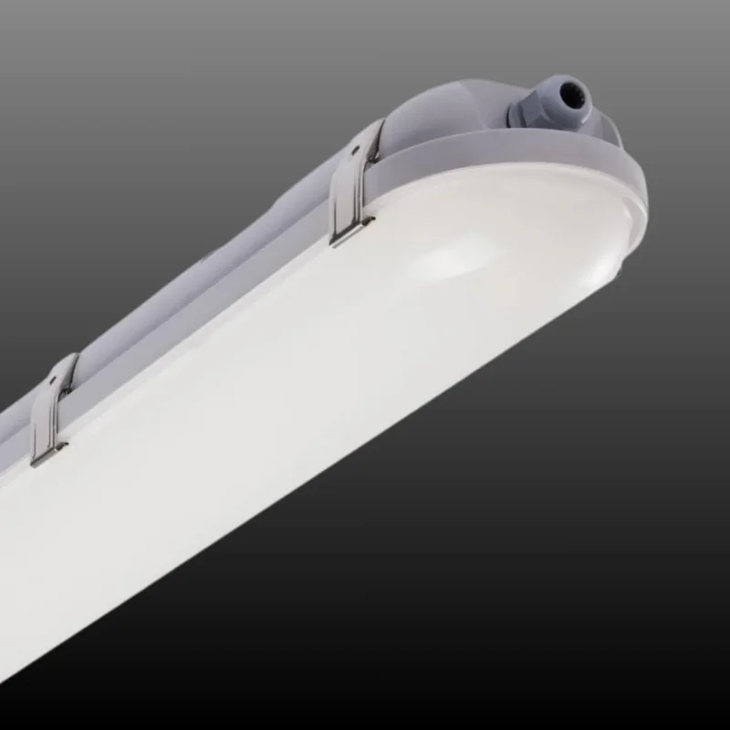 beeslighting12455331