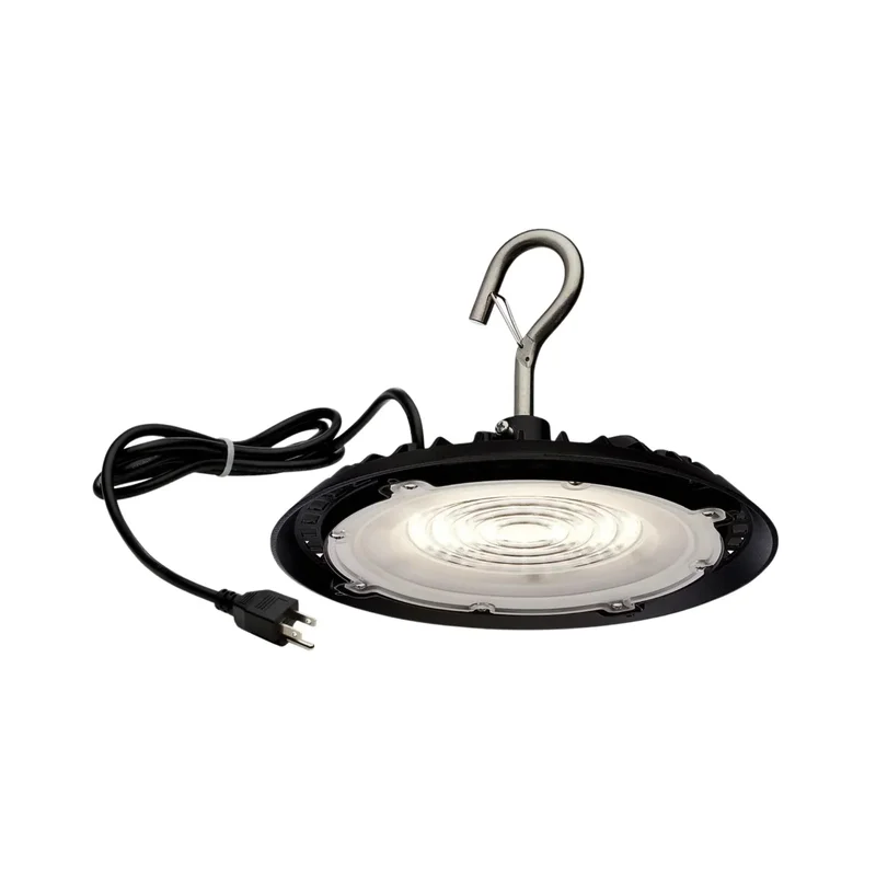 beeslighting12455435
