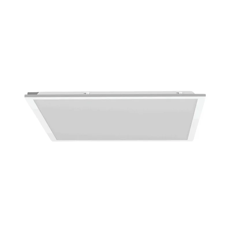beeslighting12455508
