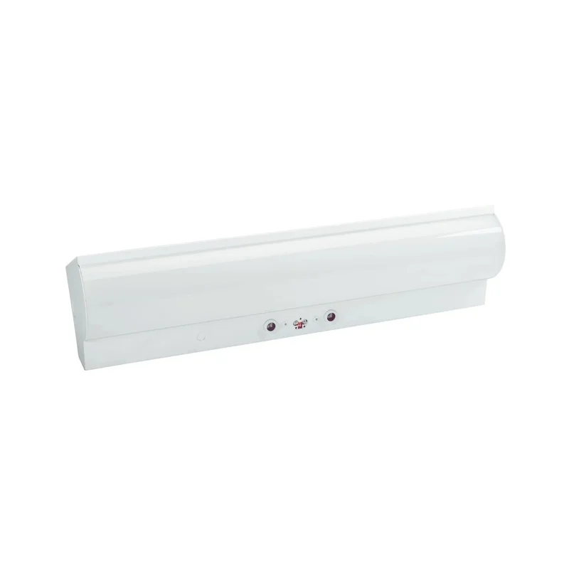 beeslighting12455807