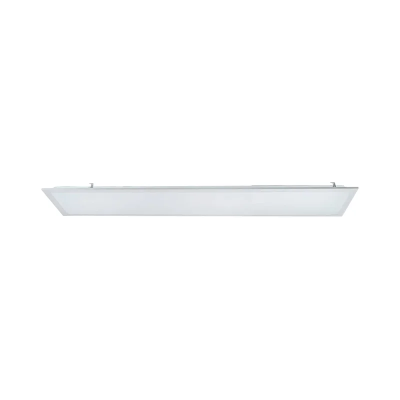 beeslighting12455826