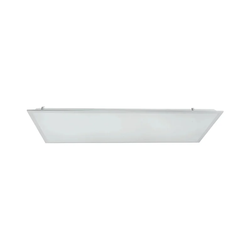 beeslighting12455840
