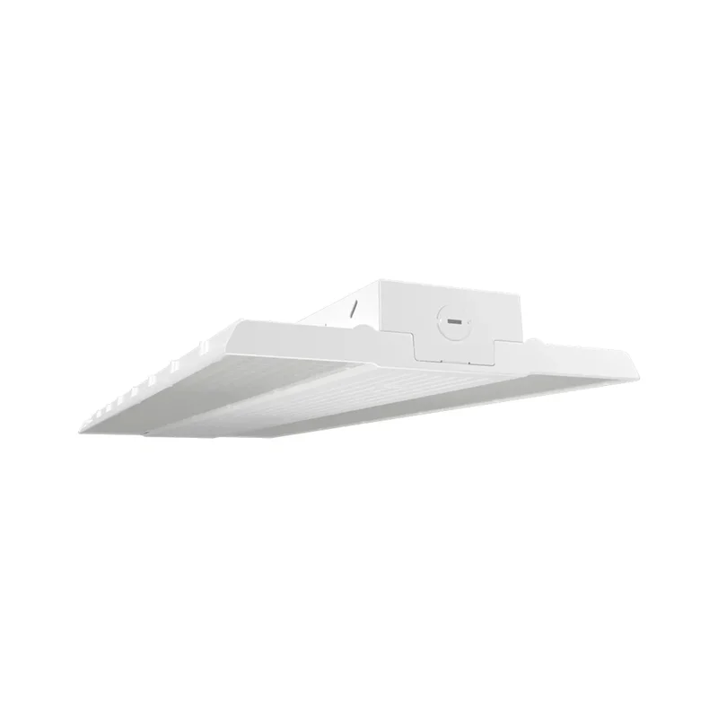 beeslighting12455880