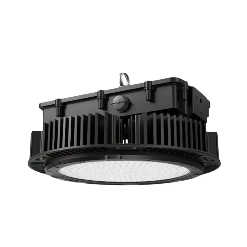 beeslighting12456012
