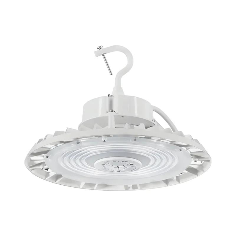 beeslighting12456103