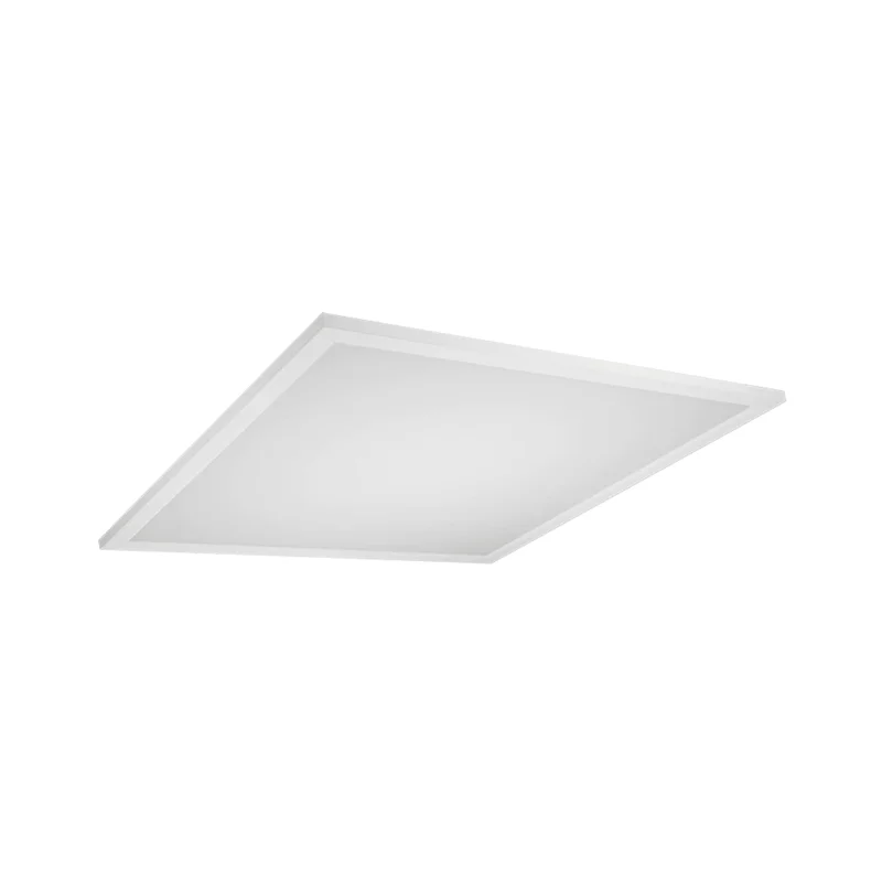 beeslighting12456424