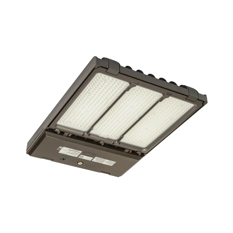 beeslighting12456625