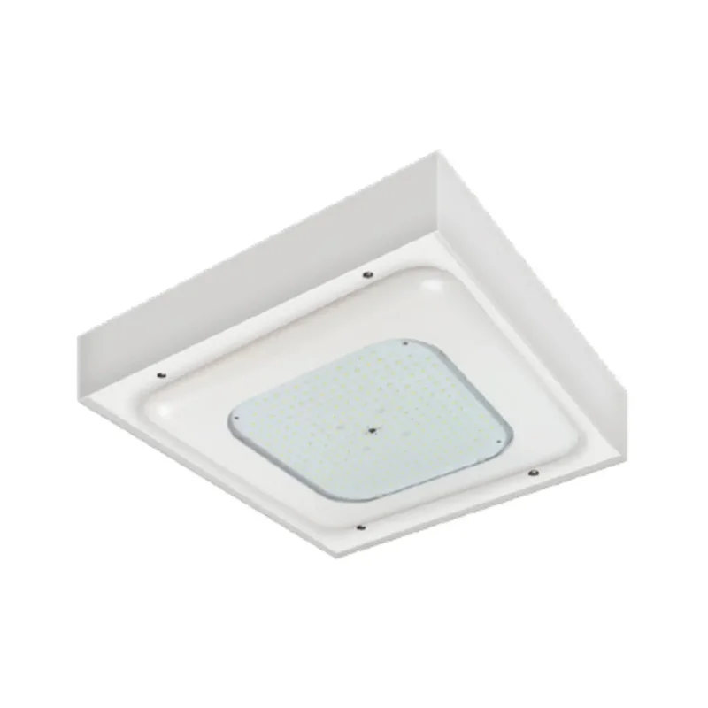beeslighting12456837