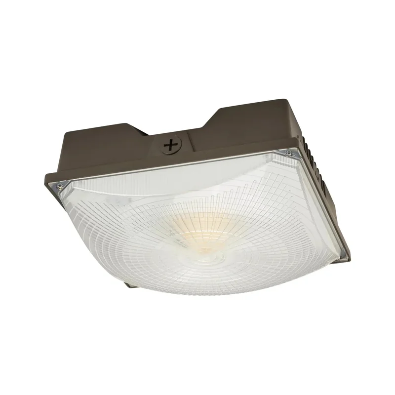 beeslighting12456997
