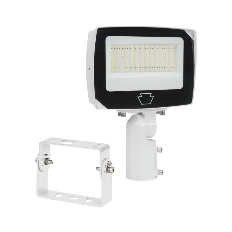 beeslighting12457247