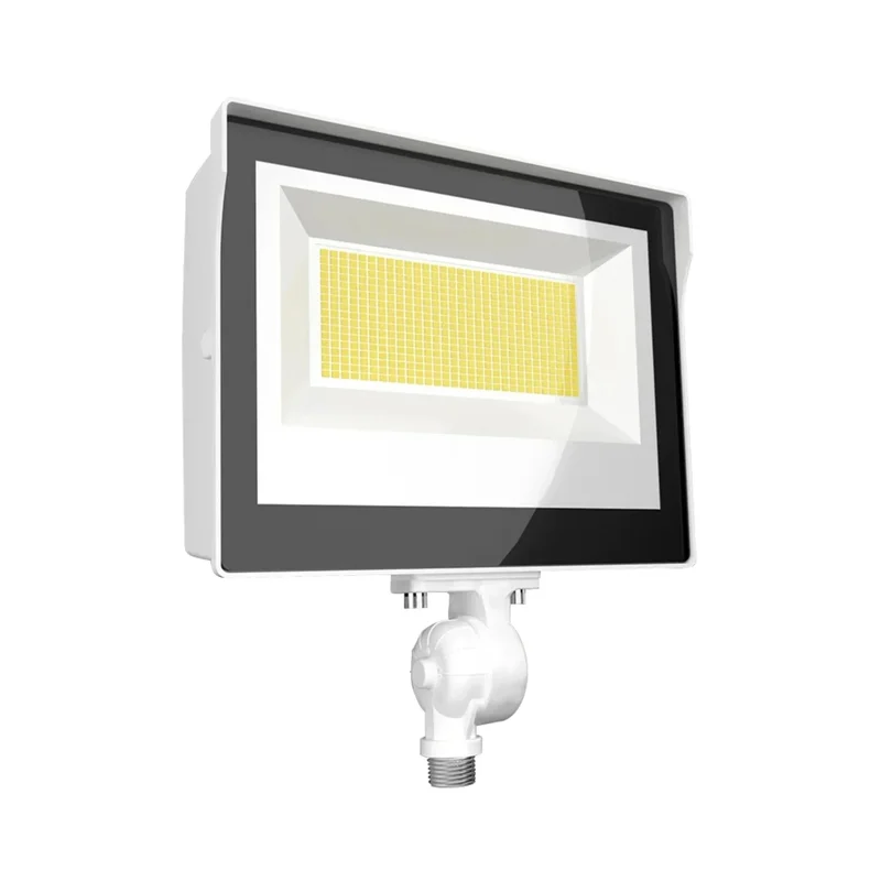 beeslighting12457572