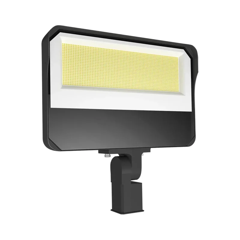 beeslighting12458248