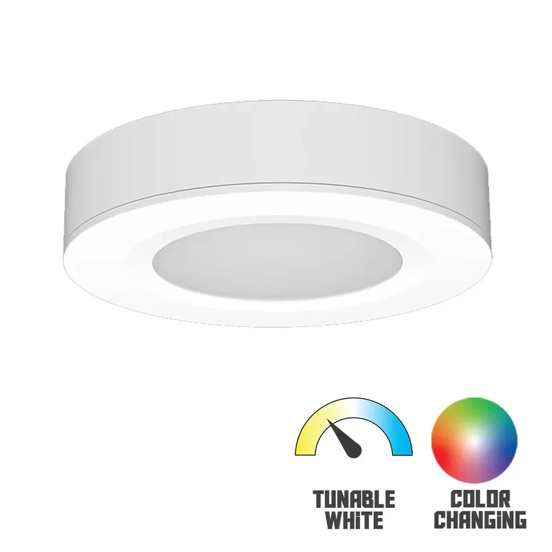 beeslighting12458605