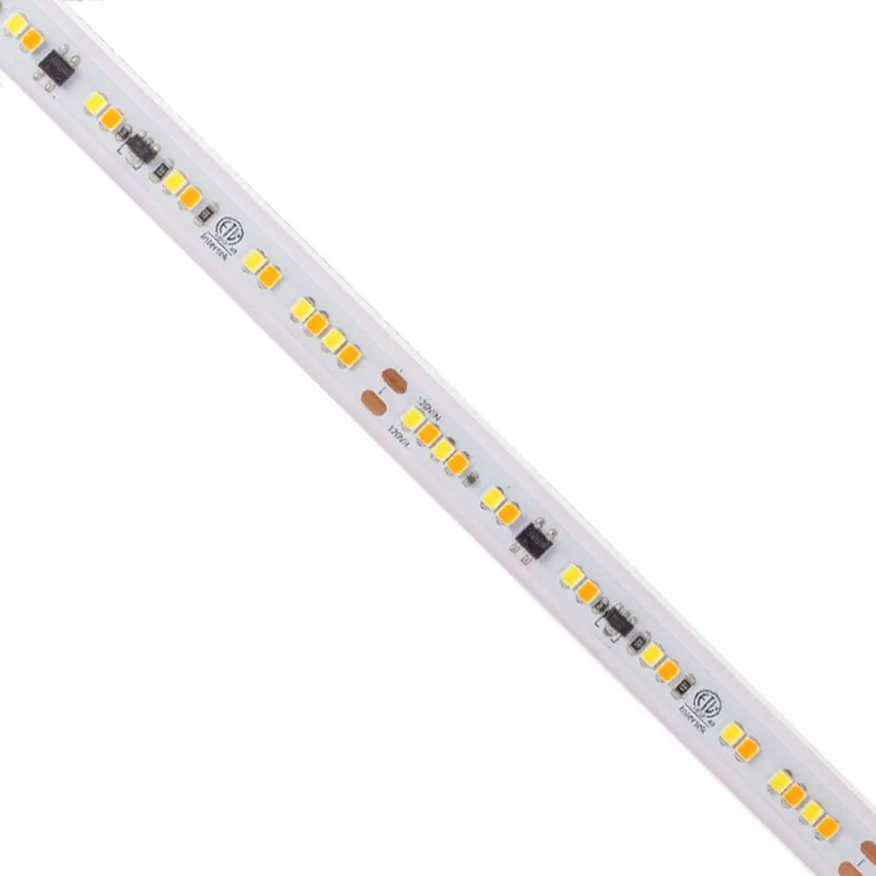 beeslighting12458615