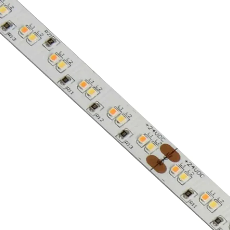 beeslighting12458949