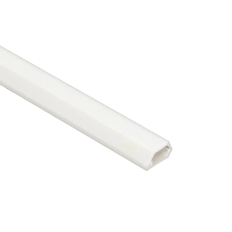 beeslighting12461442
