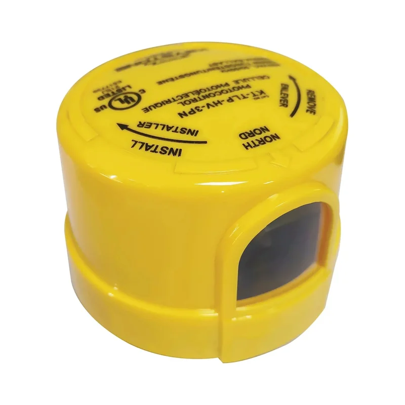 beeslighting12463381