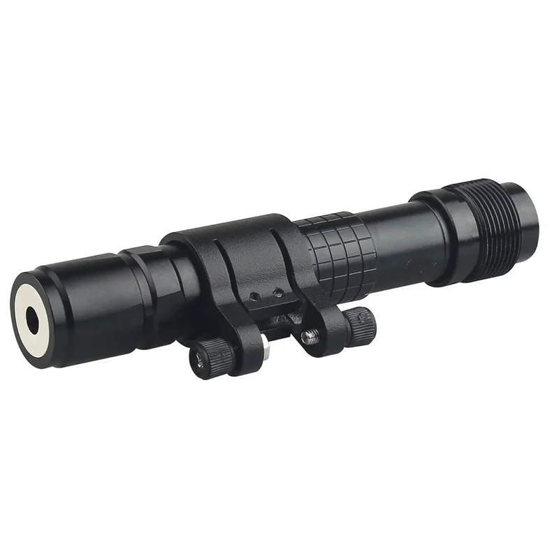 beeslighting12463506