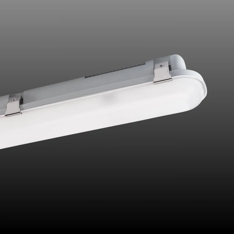 beeslighting12464847