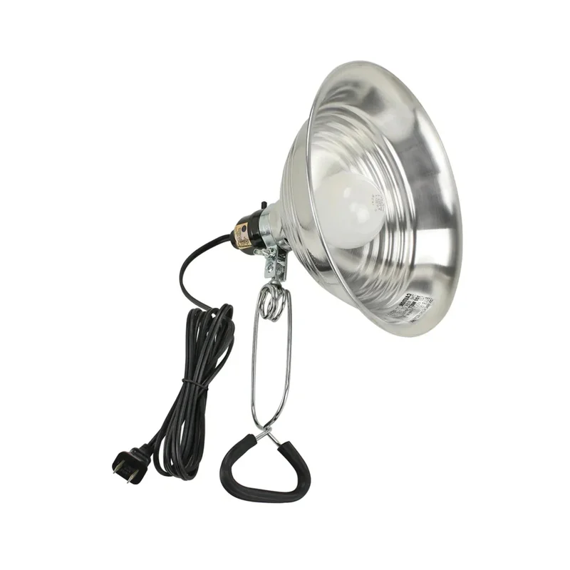 beeslighting12466354