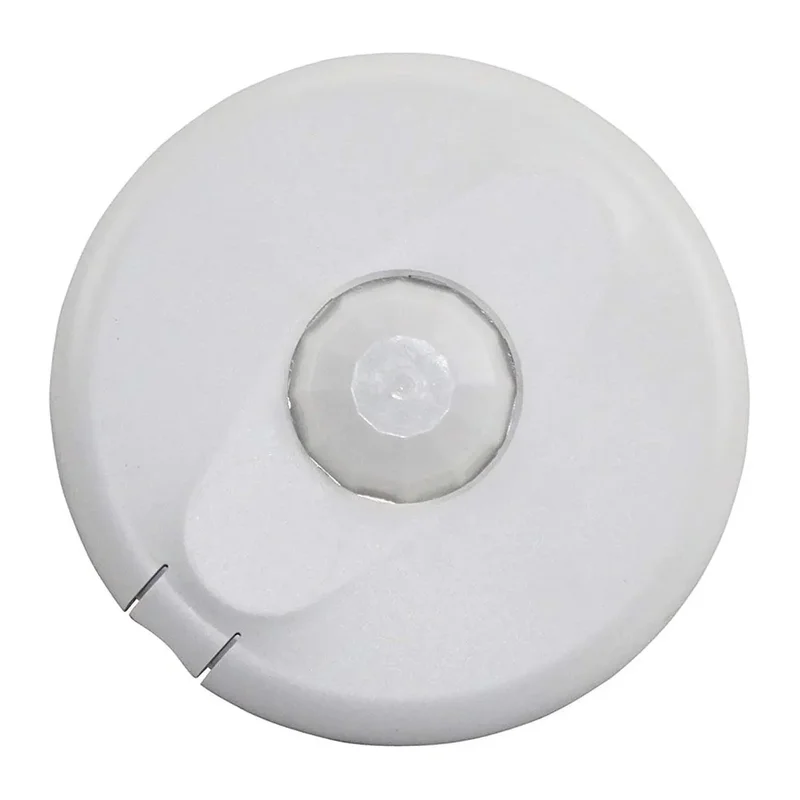 beeslighting12467985