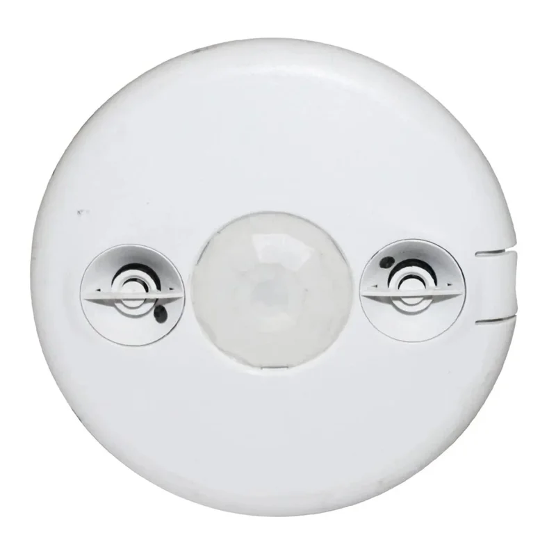 beeslighting12468015