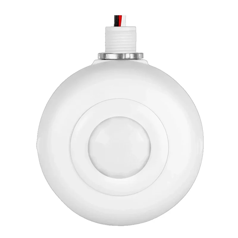 beeslighting12468028