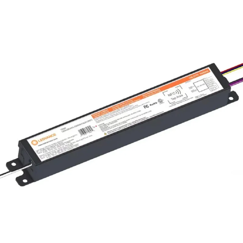 beeslighting12469627