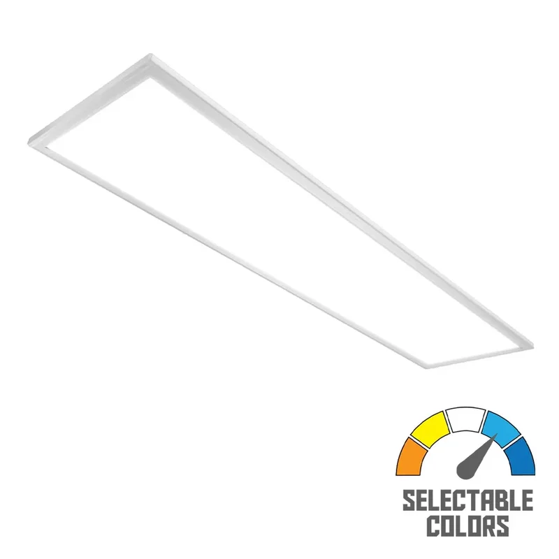 beeslighting12534952