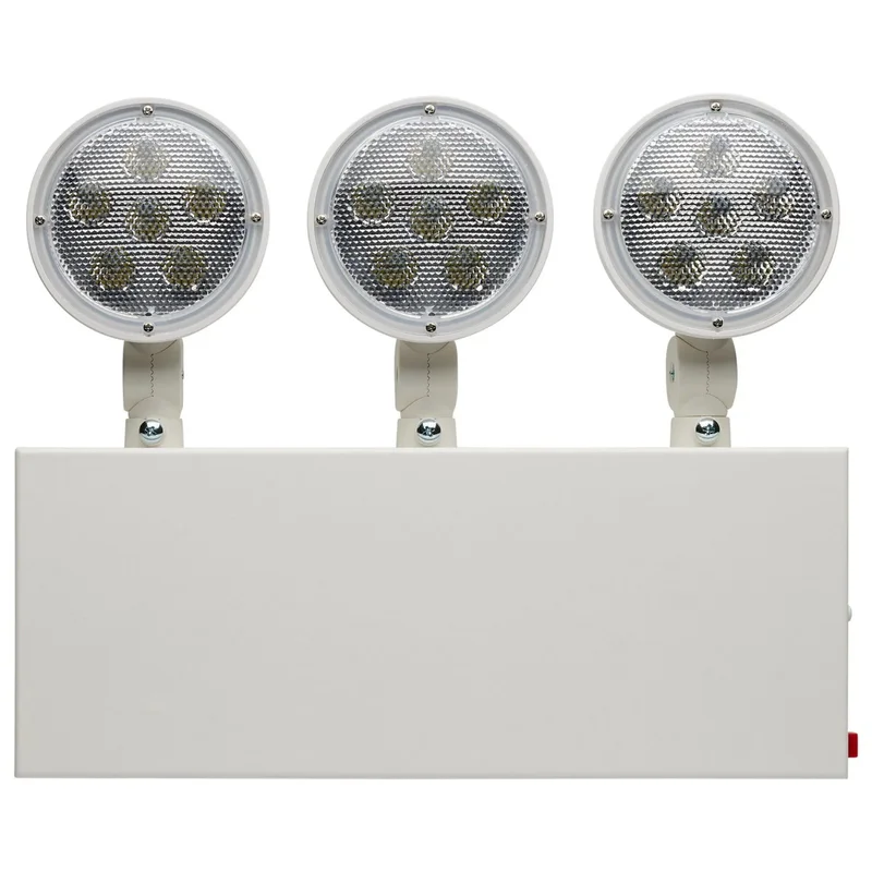 beeslighting12536458