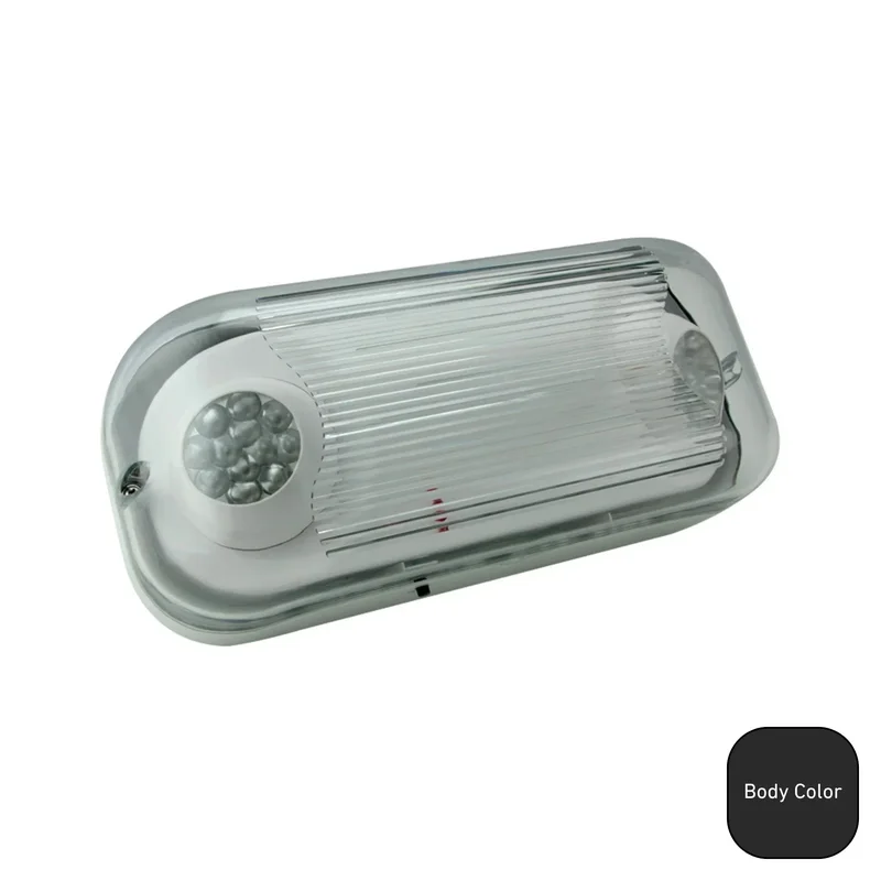 beeslighting12536688