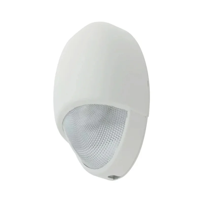 beeslighting12537503