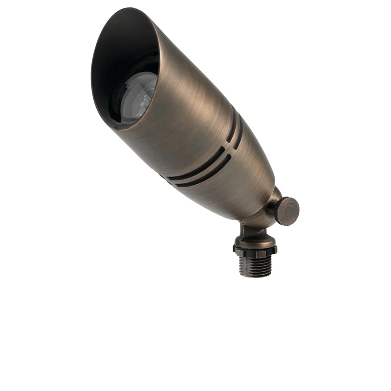 beeslighting12556966