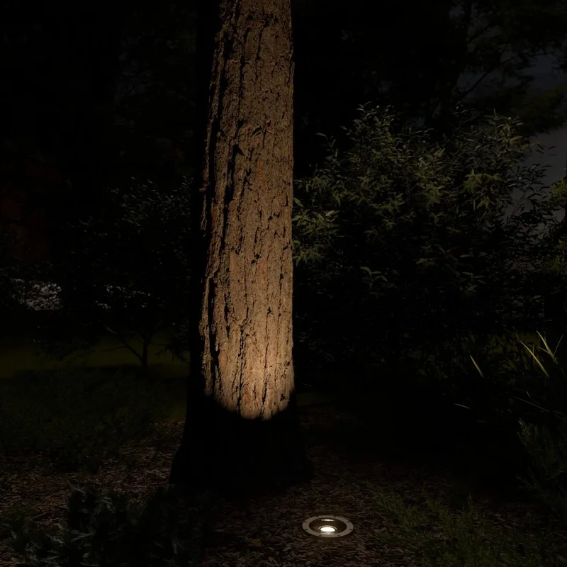 beeslighting12557377
