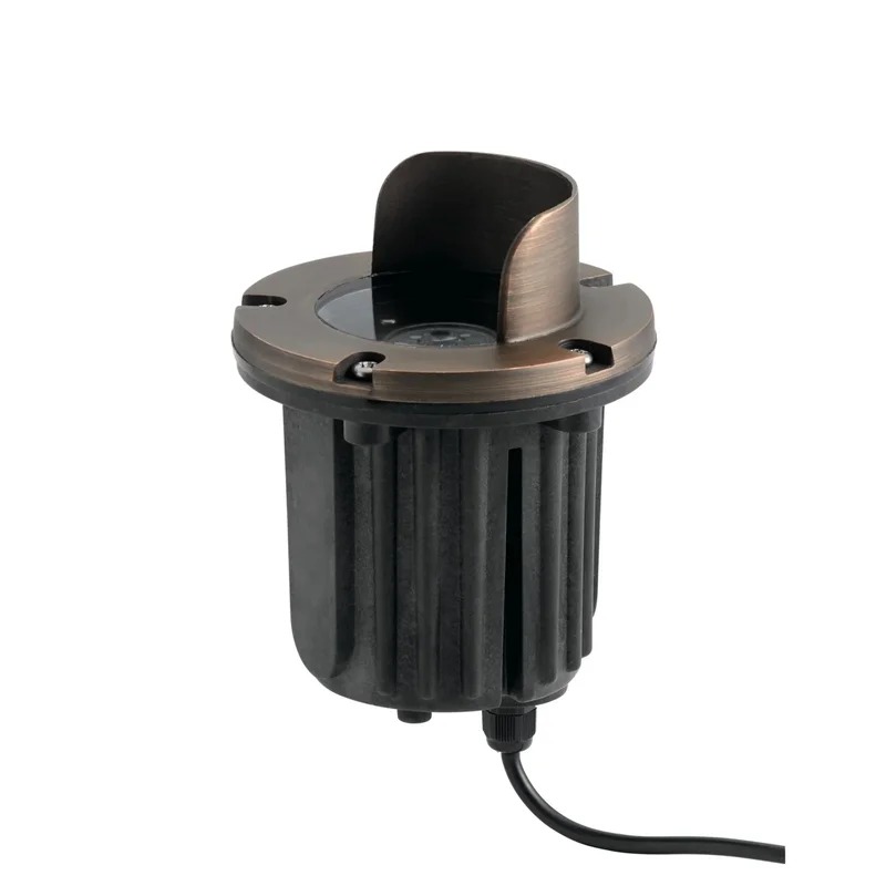 beeslighting12557606