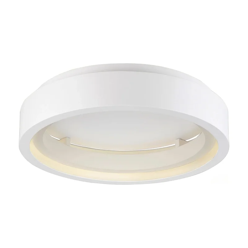 beeslighting12611206