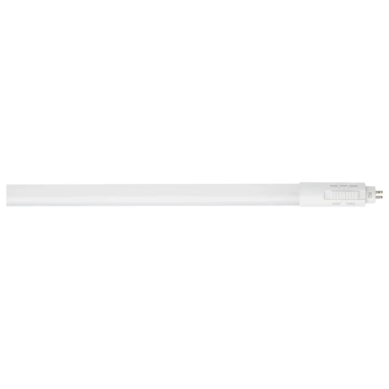 beeslighting12616812