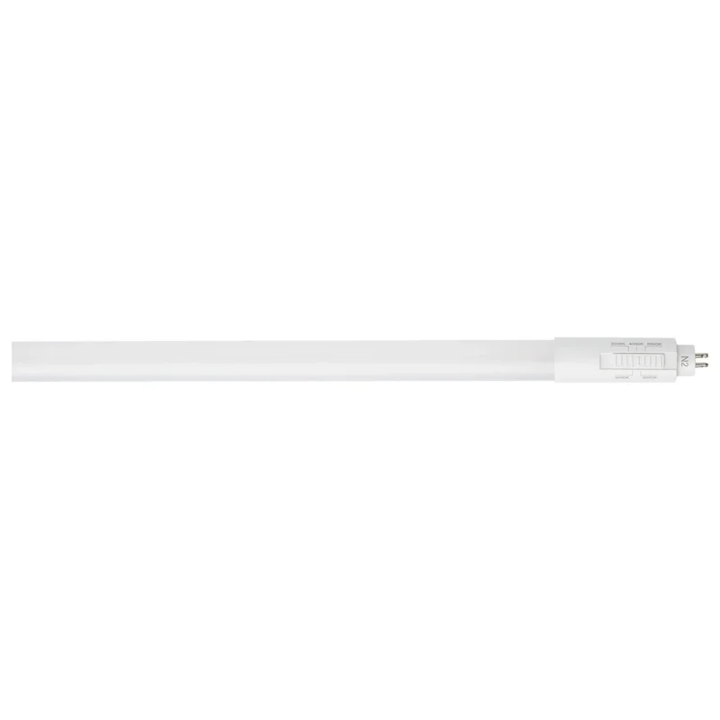 beeslighting12616817