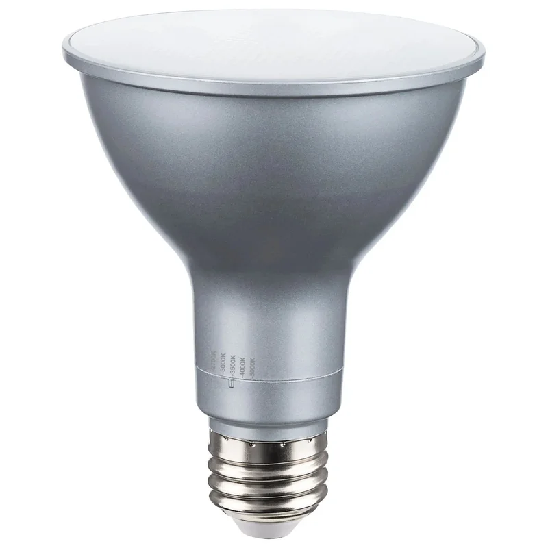 beeslighting12616915
