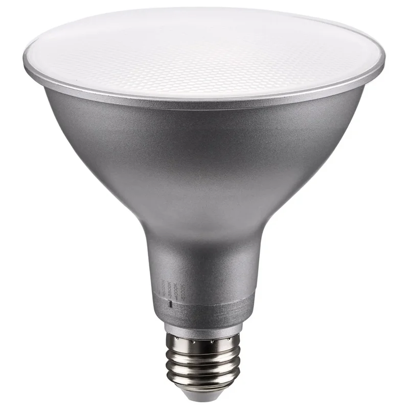 beeslighting12616973